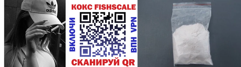 цена наркотик  Свирск  COCAIN FishScale 
