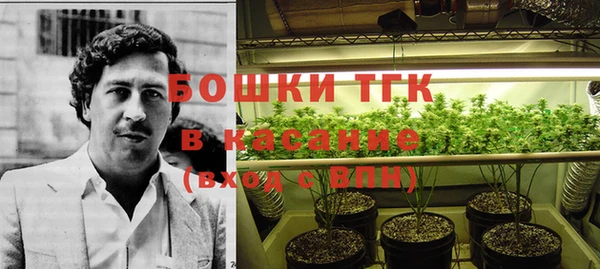 ПСИЛОЦИБИНОВЫЕ ГРИБЫ Баксан